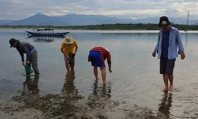 Đầm Thủy Triều - Viên ngọc giữa lòng Cam Lâm, Khánh Hòa 