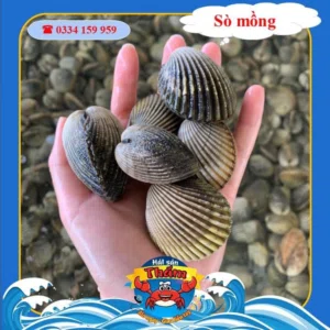z3229508747733 d9e579002378cdfacc1c74c69f3c6eda
