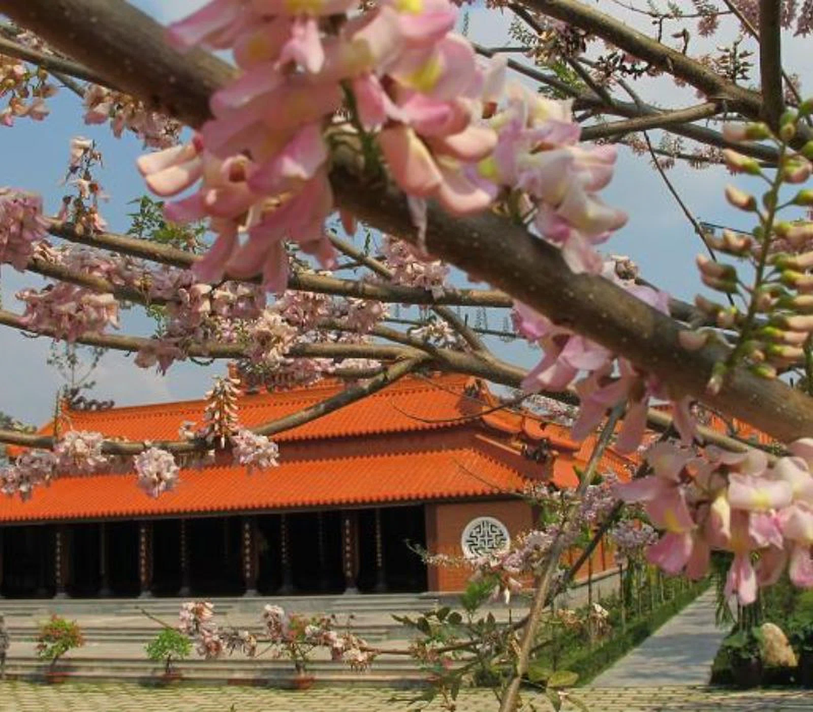Điểm qua top 12 chùa ở Nha Trang đẹp và linh thiêng nhất 4